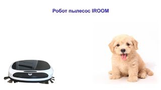 Пылесос iroom