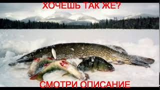 не диалоги о рыбалке последние съемки