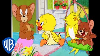 Tom y Jerry en Español ???????? | Dios los cría y ellos se juntan... Acuden a Jerry