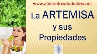 La ARTEMISA y sus Propiedades