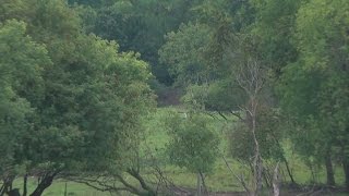 Wetterling Remains Found 20 Miles From Abduction Site