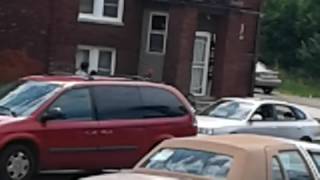 Only in the hood chalmers/kercheval(2)