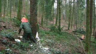 750 Jahre Hausach,  Holzfäller I (modernes Holzfällen)