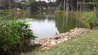 Lago de la Babilla-HD Youtube El Pais