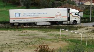 Transportes Felicio