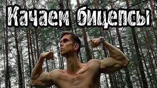Как накачать бицепсы на турнике