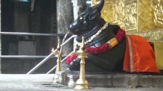 Miracle of Mallishwaram Nandhi Temple