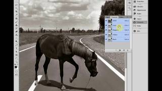 Хитрость при печати чёрно-белых фотографий