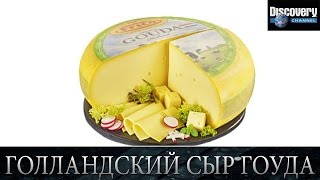 Голландский сыр Гоуда - Из чего это сделано .Discovery channel