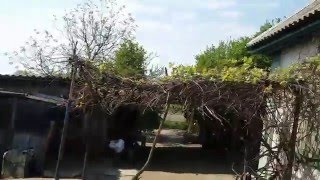 Купить дом в пригороде Чернигова. Видео. Жилой дом в Андреевке.