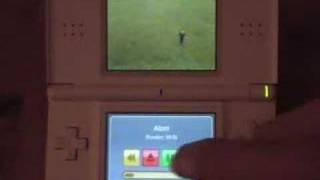 DSVideo 1.0