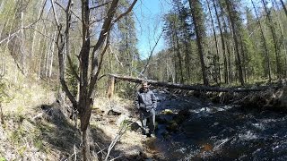 Ангарск - р.Иркут на ATV (обязательно сначала читаем аннотацию)