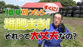 大丈夫？１番草刈ってすぐ堆肥撒き？！デイリーネットワーク【第４６回】