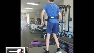 Vertimax basketball