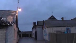 Голуби Краматорска 0505128531