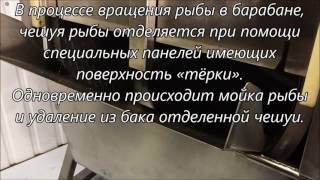 Установка для удаления чешуи тип 631
