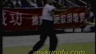 Dragon Style Kung-Fu from a Hong Kong Demo