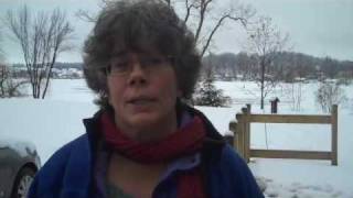 Art of Surrender with Sandy Levey