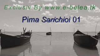 Pima Sarichioi 01
