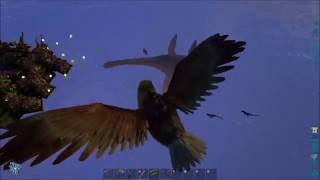 Ark best of Maya Raid 1/2 official hardcore primitive pvp Server