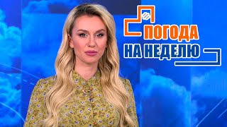 До -15°C по всей Беларуси! Погода на неделю | Прогноз погоды с 5 по 11 декабря | Плюс-минус