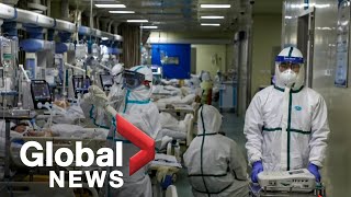 Coronavirus outbreak: Virus named COVID-19; more Canadian evacuees arrive