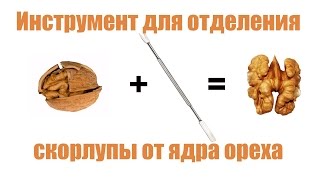 Инструмент для отделения скорлупы от ядра грецкого ореха