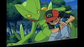 Pokémon - Sceptile - Never Too Late (AMV)