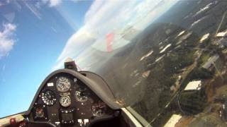 Standard Cirrus glider flying