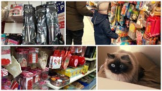 ВЛОГ: ИНТЕРЕСНЫЕ НОВИНКИ ФИКС ПРАЙС/ ПРИКОЛЫ С КОШКОЙ! 1-2.03.18