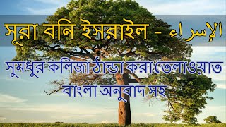 সুললিত কন্ঠে আল কুরআনের তেলাওয়াত এবং বাংলা তরজমা - Sura Bani Israel (সূরা বনি ইসরাইল)