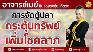 เคล็ดลับเสริมดวง - การจัดตู้ปลามงคลเรียกทรัพย์!! // อาจารย์เมย์