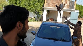 A day in interior Sindh | Vlog