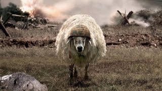 Как относятся к Украинцам в Польше.