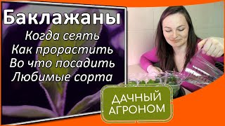 Баклажаны: Любимые сорта / Когда сеять / Как прорастить / Во что посадить