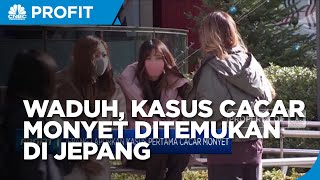 Jepang Laporkan Kasus Pertama Cacar Monyet