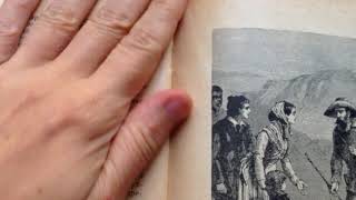 Пятнадцатилетний капитан (Часть I/ГлаваXV)-Гэррис
