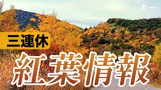三連休の紅葉情報　東北や中部の山で見頃に