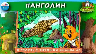 ? Панголин | В гостях у дядюшки Филина (? АУДИОСКАЗКА) Выпуск 9