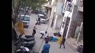 اقوى هجوم للكلاب الريدبول