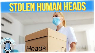 A Box of Heads Was Stolen from Medical Research Truck (ft. TJ Lee & Silent Mike)