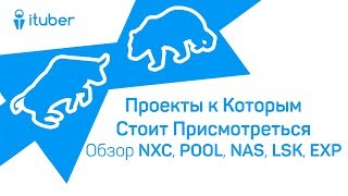 Проекты к Которым Стоит Присмотреться. Обзор Nexium NXC, ClaerPoll POOL, Nebulas NAS, Lisk LSK, EXP