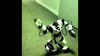 Радиоуправляемый игрушечный робот Roboactor ТТ313