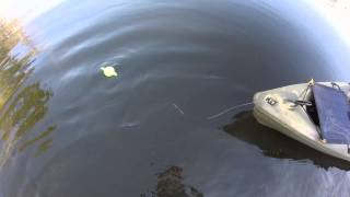 SonarPhone T-POD rigged to kayak