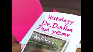 Histology Dr  Dalia 06 2 Spermatogenesis By Gehan Male Genital System