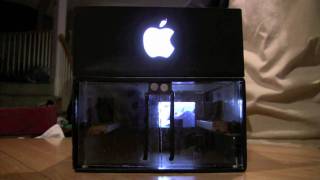 Personal Shoebox Apple Store!