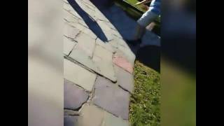 Goose goes crazy attacking little girl!!!