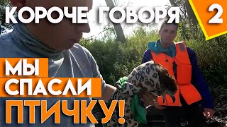 КОРОЧЕ ГОВОРЯ МЫ СПАСЛИ ОРЛА! Сплав по реке Юрюзань (Часть 2)