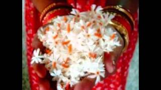 SRI MANTRA PUSHPANJALI