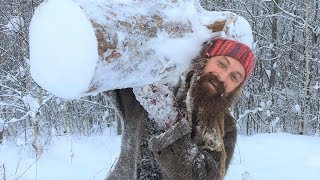 Отшельник собирает валежник